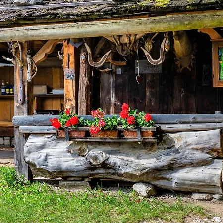 Apartment Mareinhof - Urlaub Auf Dem Apfelbauernhof Parcines